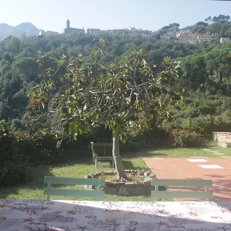 Shanti Yoga & Meditation * Marciana