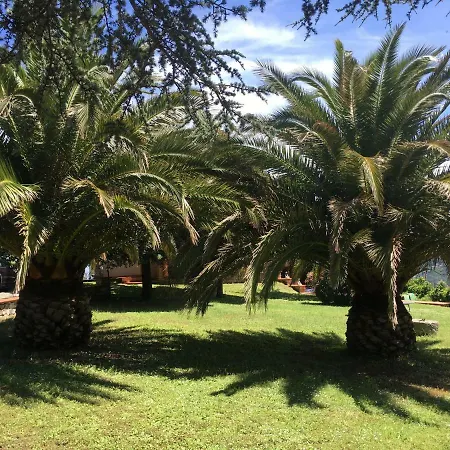 Shanti Yoga & Meditation