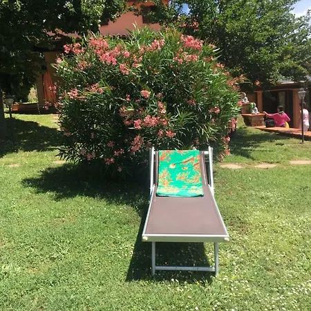 Shanti Yoga & Meditation מרצ'אנה