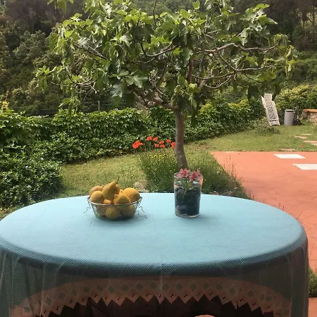 Shanti Yoga & Meditation * מרצ'אנה