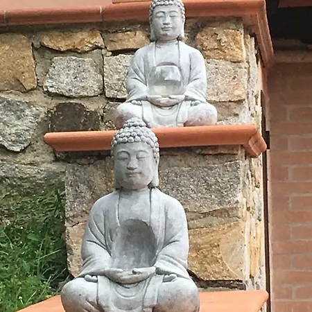 Shanti Yoga & Meditation *