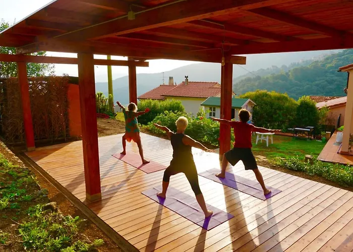 Shanti Yoga & Meditation *