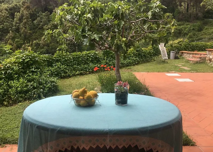 Shanti Yoga & Meditation * Marciana (Isola d'Elba)