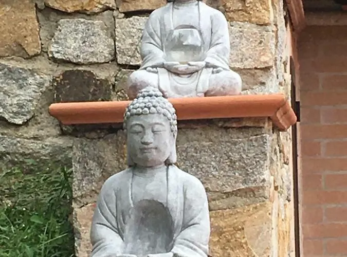 Shanti Yoga & Meditation *